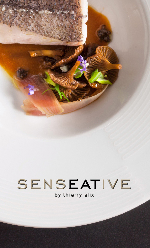 SENSEATIVE by Thierry Alix